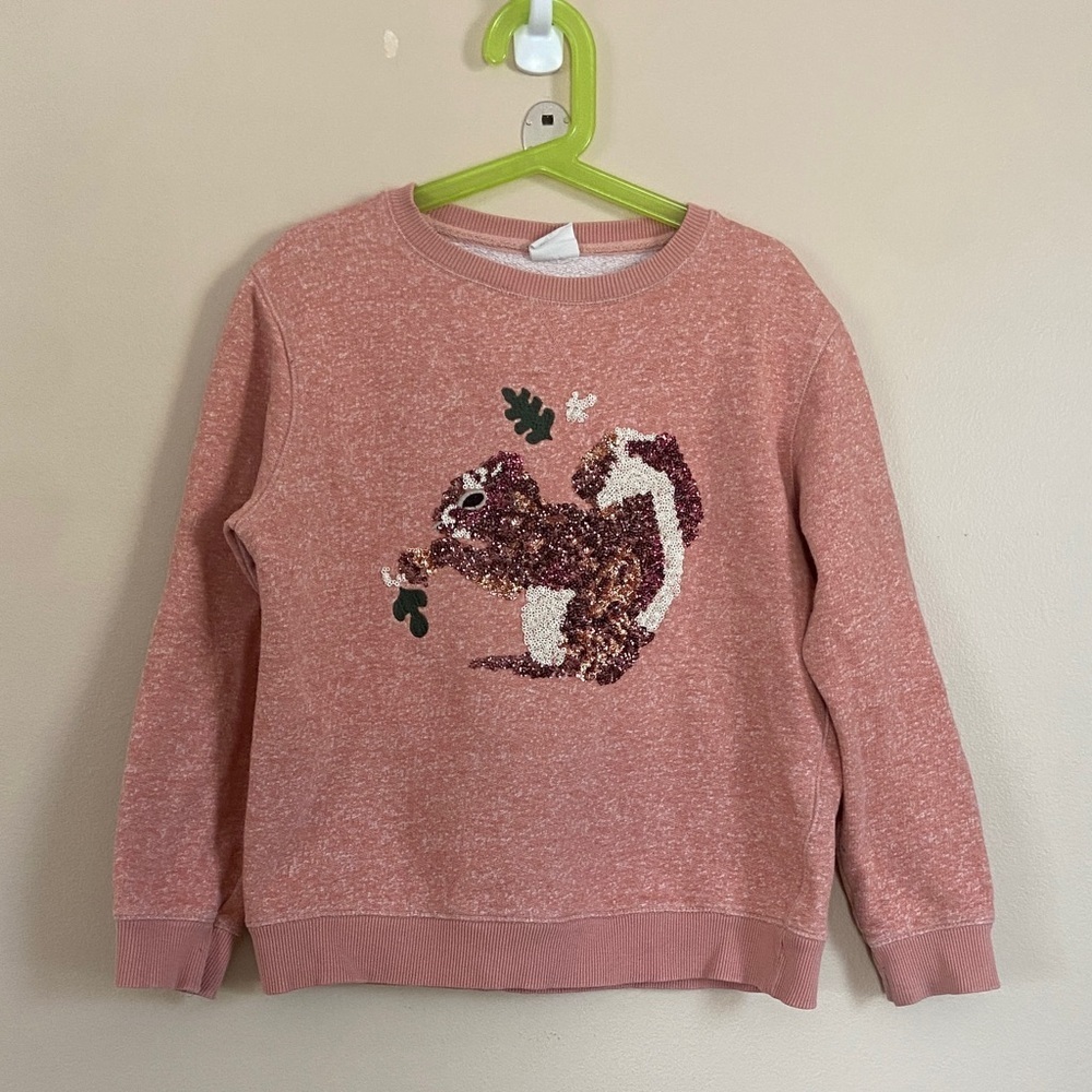 Zara Sequin Squirrel Sweatshirt Crewneck Pullover Size 9-10 Animal Graphic
